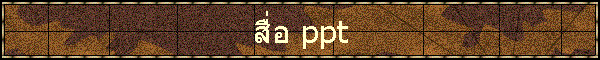  ppt