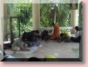 DSC03157.JPG