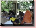 DSC03158.JPG
