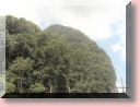 DSC03185.JPG