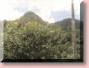 DSC03188.JPG